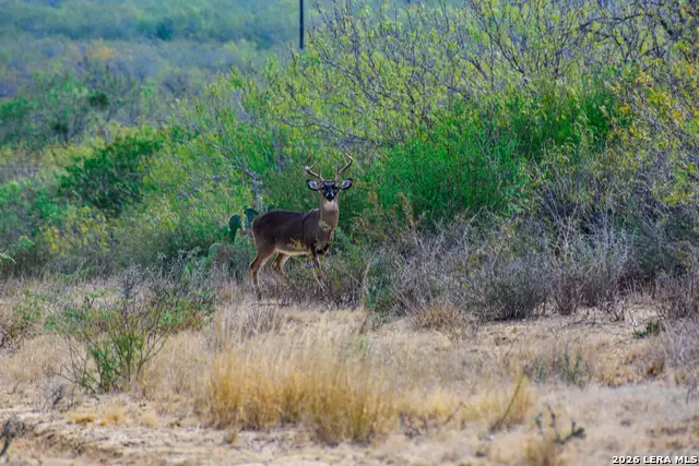 000 Easement Road, Laredo, TX 78045 - Image #1