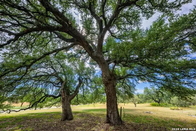 6754 North Grape Creek, Fredericksburg, TX 78624 - #3