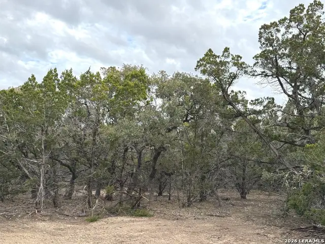 TBD Stoney Hill Lane, Pipe Creek, TX 78063 - #2