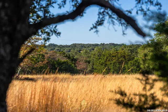 1357 Legacy Oaks Drive, Harper, TX 78631 - #2