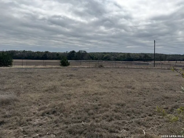 414 George Dolson, Blanco, TX 78606 - Image #3