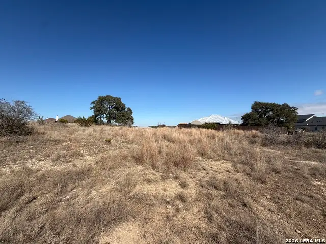 203 George Dolson, Blanco, TX 78606 - Image #3