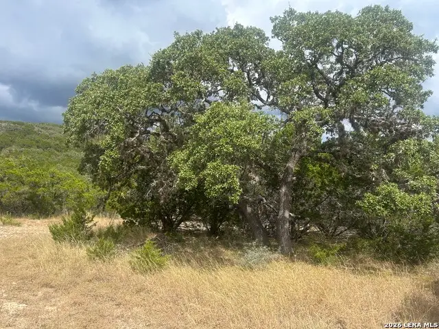 TBD Scenic Pass, Pipe Creek, TX 78063 - #2