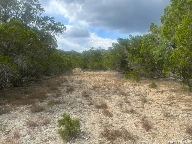 TBD Scenic Pass, Pipe Creek, TX 78063 - #3