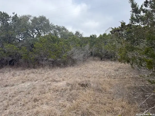 LOT 71 S Cliff, Spring Branch, TX 78070 - #3