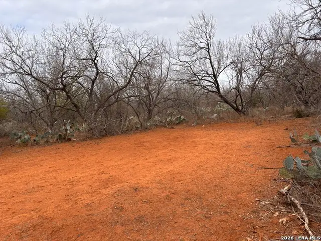 3201 Mckinley, Pearsall, TX 78061 - #3