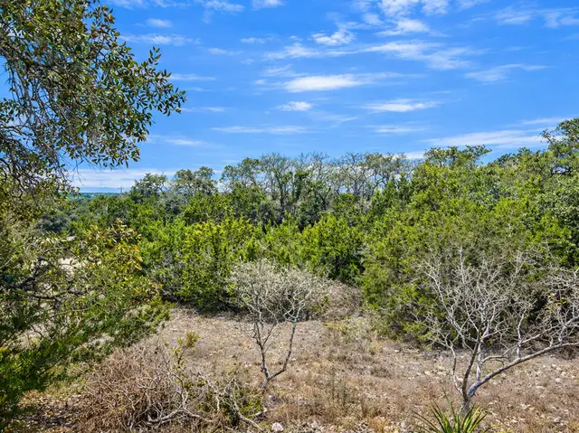 210 Coneflower, Spring Branch, TX 78070 - #3