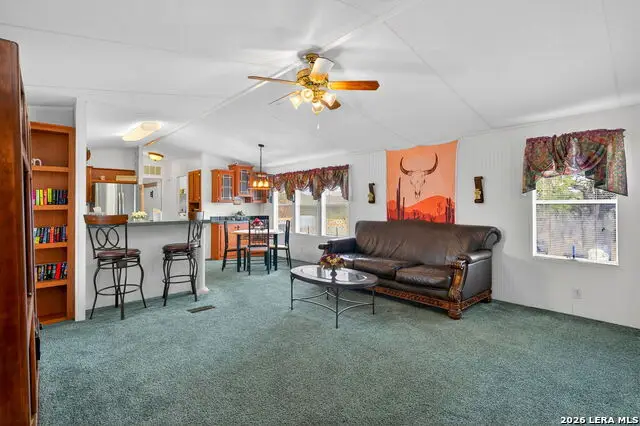 143 Bluff View, Spring Branch, TX 78070 - #2