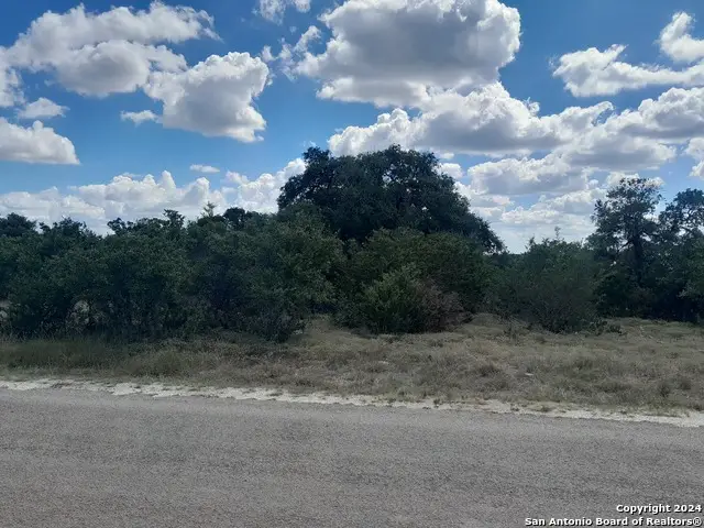 612 Calvin Barrett, Blanco, TX 78606 - #3