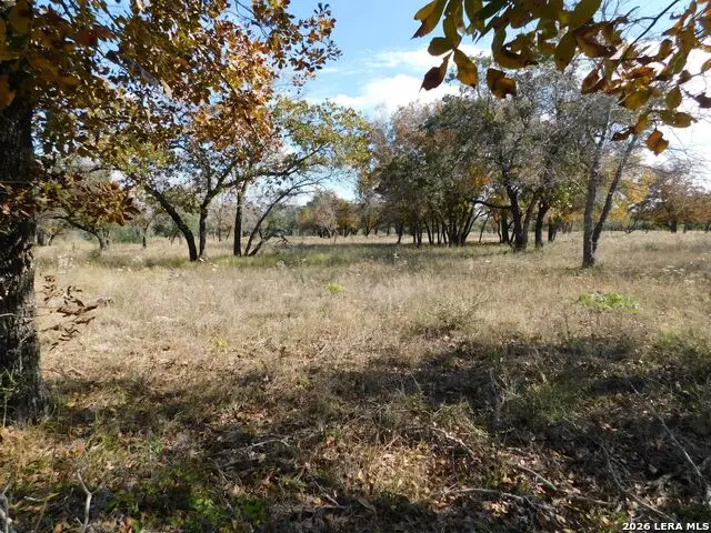 TBD Encino Way, Natalia, TX 78059 - #1