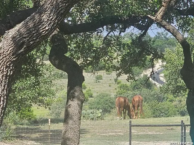 552 (LOT 2002) Rock Trail, Spring Branch, TX 78070 - Image #1