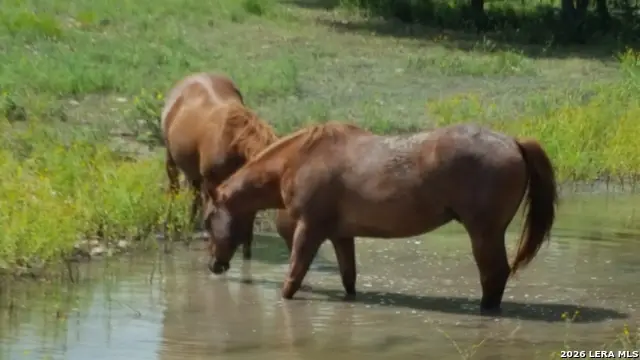 552 (LOT 2002) Rock Trail, Spring Branch, TX 78070 - Image #3