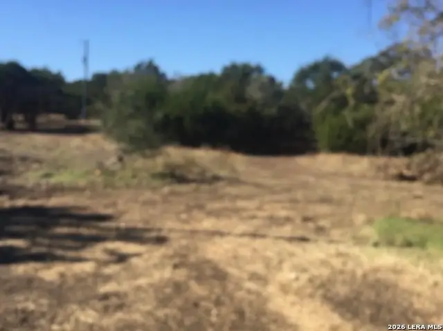 451 Stallion Estates, Spring Branch, TX 78070 - Image #1