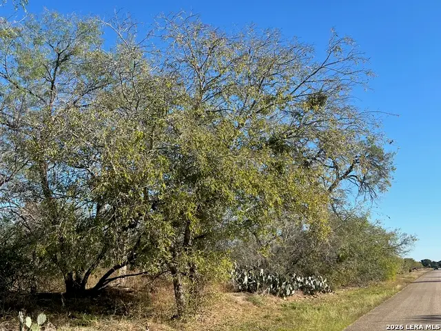 TBD Red Barn Rd, Poteet, TX 78065 - #1