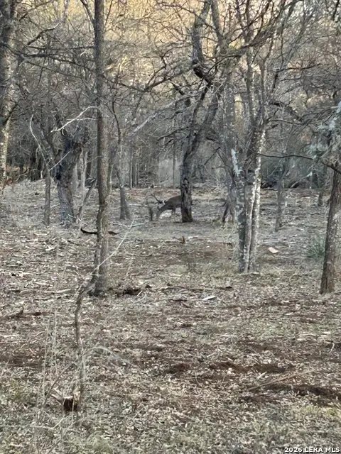 5610 Verbena St, San Antonio, TX 78240 - #3