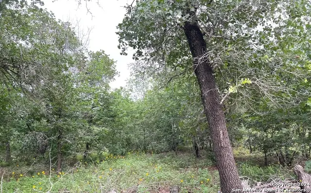 606 Sherrywood Ln, San Antonio, TX 78264 - #3