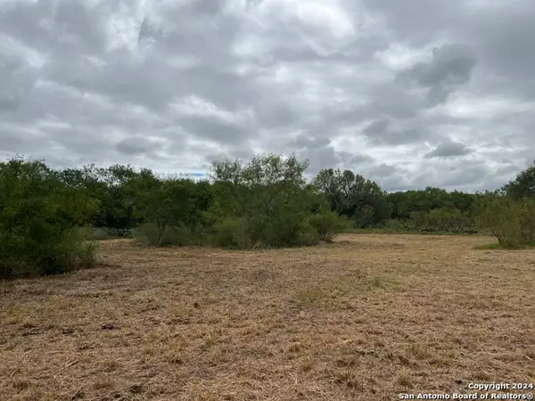 TBD S Hwy 281, Pleasanton, TX 78064