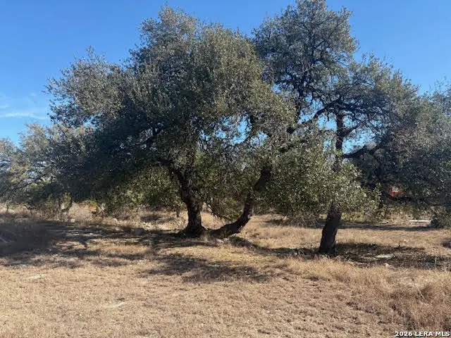 254 Jolie, Spring Branch, TX 78070 - Image #1