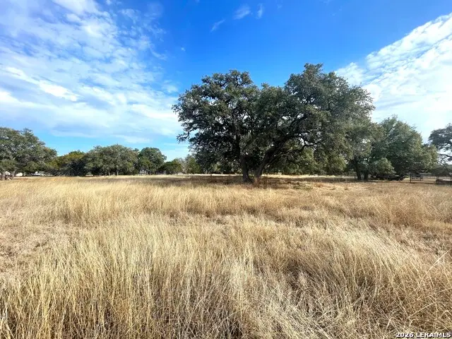 LOT 435 Horseshoe, Bandera, TX 78003 - #2