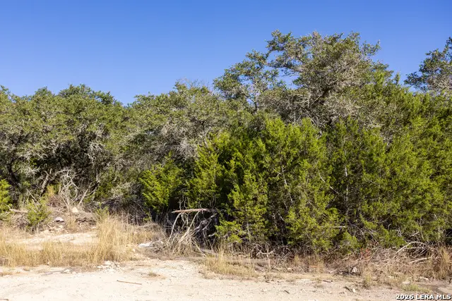 BLOCK 1, LOT 24 Standing Tall, Boerne, TX 78006 - #3