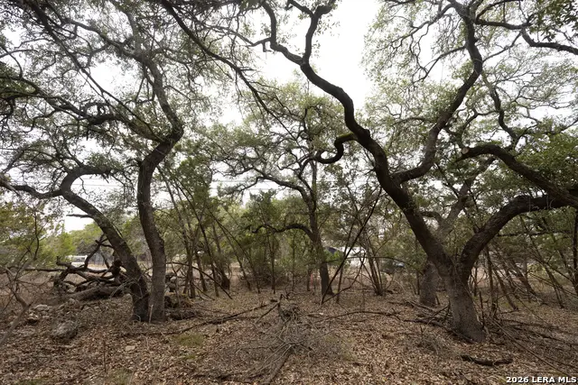 2480 Cypress Gardens, Spring Branch, TX 78070 - #1