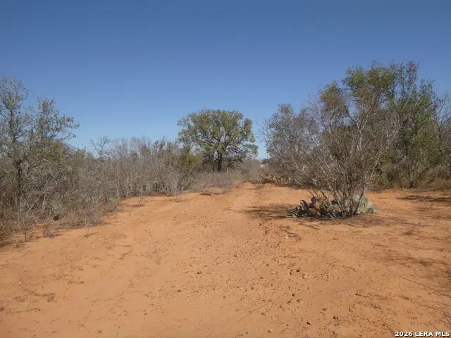 4253 E Fm 462, Moore, TX 78057 - #1