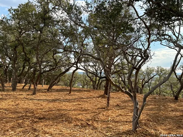 34780 Ansley Ridge, Bulverde, TX 78163 - #1