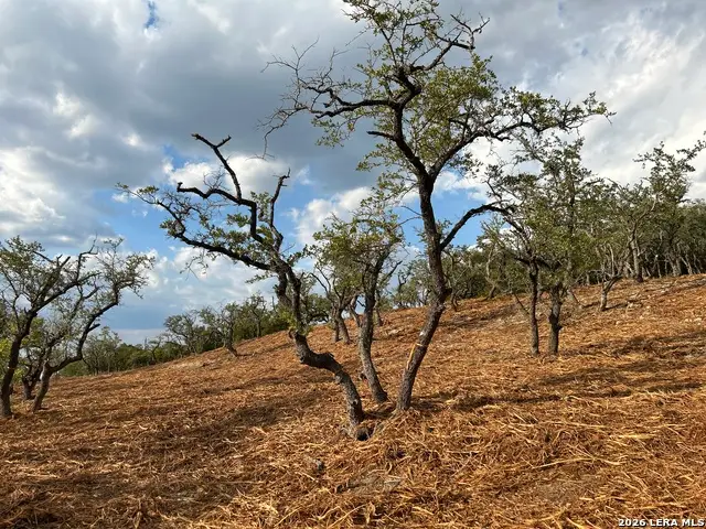 34780 Ansley Ridge, Bulverde, TX 78163 - #3