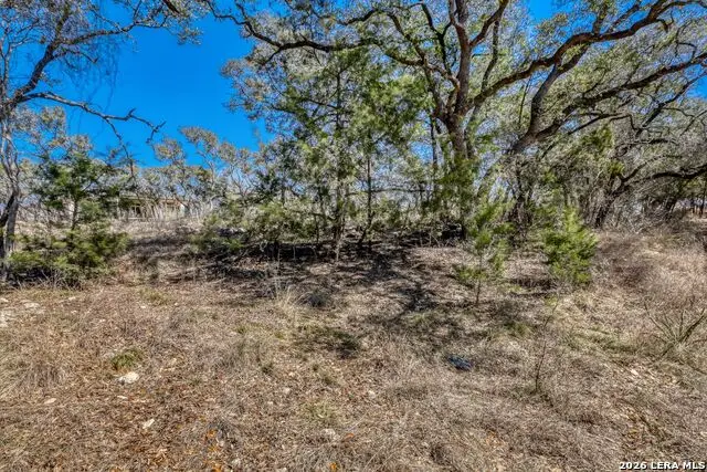6914 Bluff Run, San Antonio, TX 78257 - #2