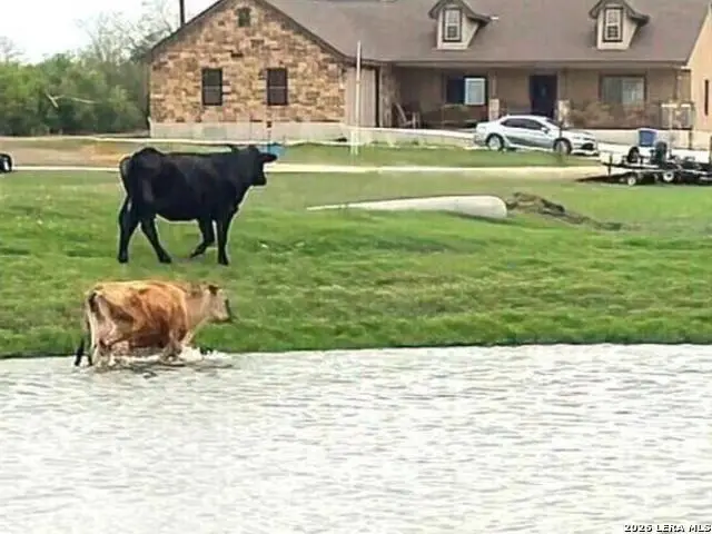 6197 Pfeil Rd, Schertz, TX 78154 - #1