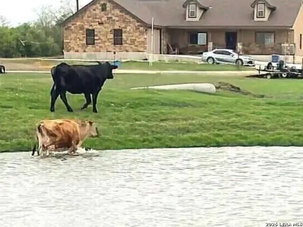 6197 Pfeil Rd, Schertz, TX 78154