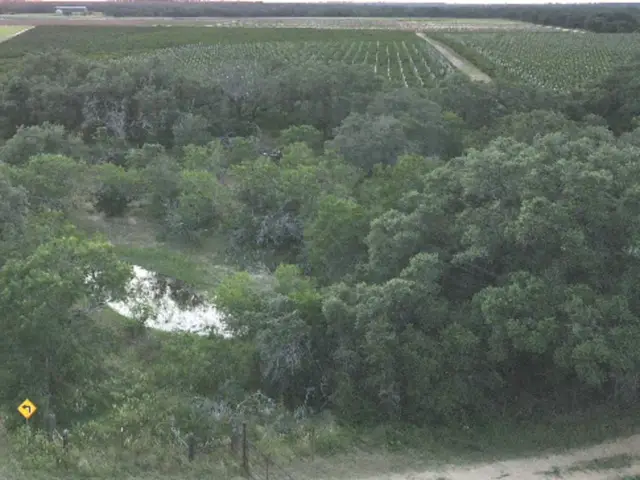 TBD Bruce Rd., Pleasanton, TX 78064 - #2