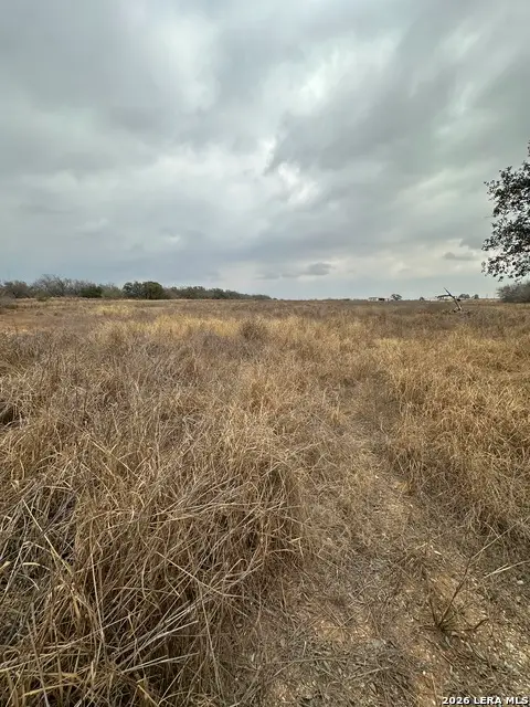 000 E Fm 462, Moore, TX 78057 - #2