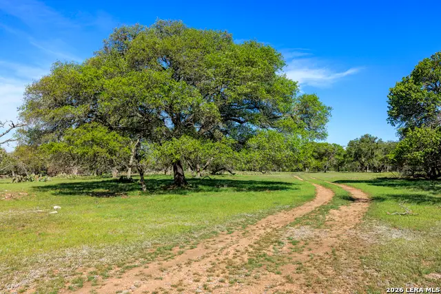 257 Dally, Fredericksburg, TX 78624 - #2