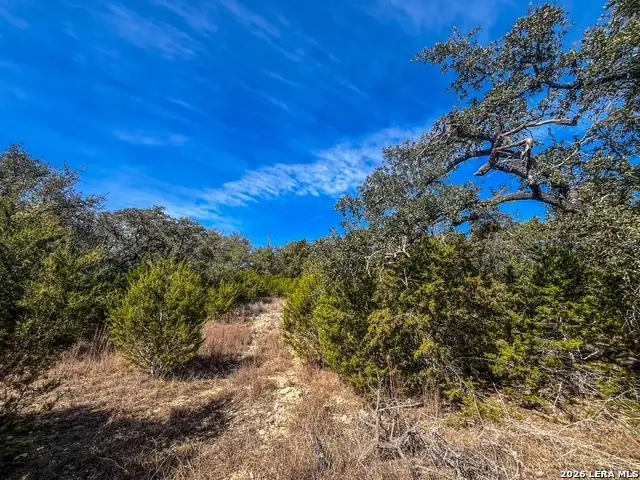 810 La Paloma, Canyon Lake, TX 78133 - #3