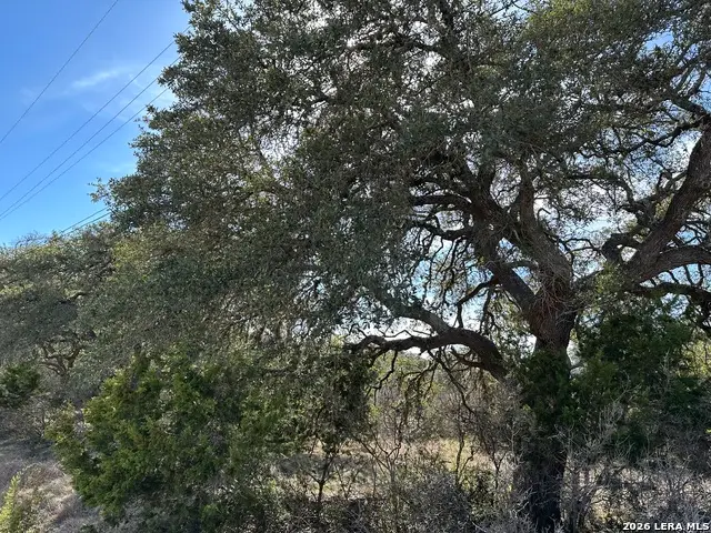 116 Ephram Mclane, Blanco, TX 78606 - #3