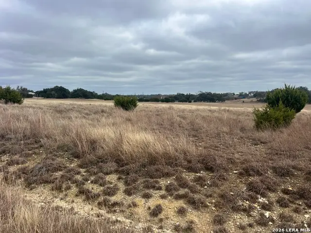 220 Peter Kleid, Blanco, TX 78606 - #3