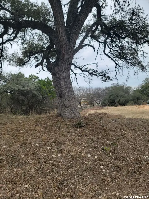 14922 Medusa, Selma, TX 78154 - #2