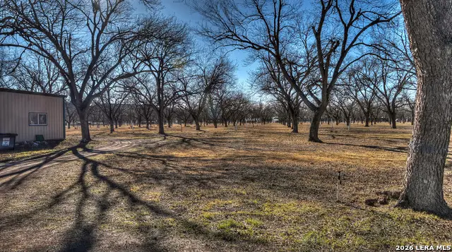 429 Johnny Seibert Ln, Leakey, TX 78873 - #3