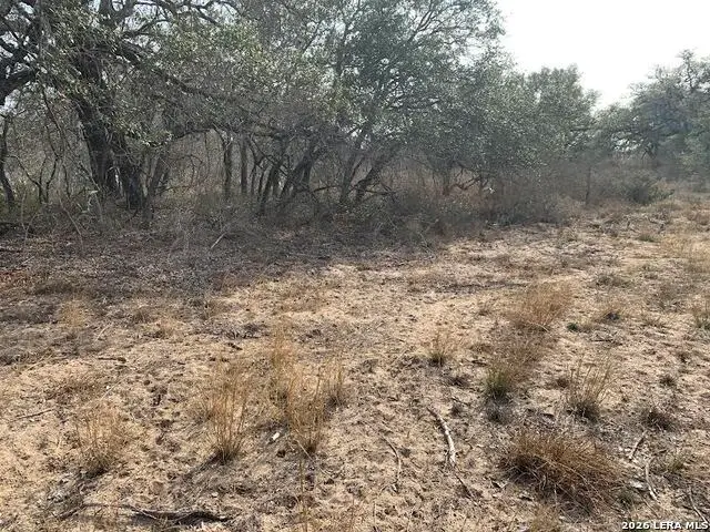 00 Cr 6719, Natalia, TX 78059 - #2