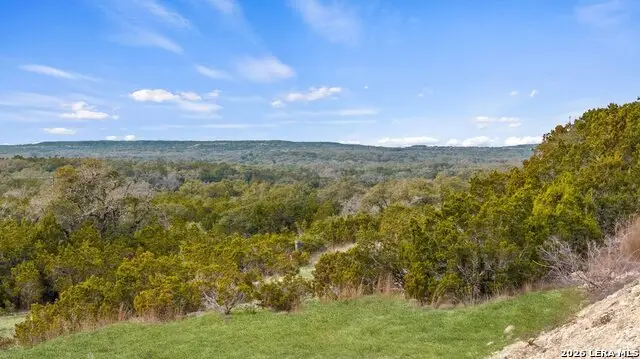 0 Limestone Hollow, Wimberley, TX 78676 - #3