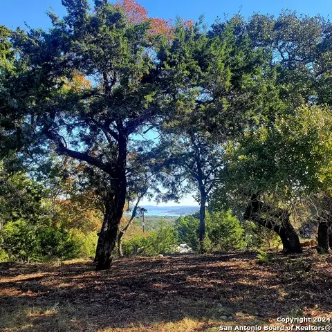 152 Mountainview, Canyon Lake, TX 78133 - #3