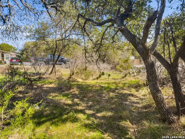 1738 Cave Drive, Spring Branch, TX 78070 - #1