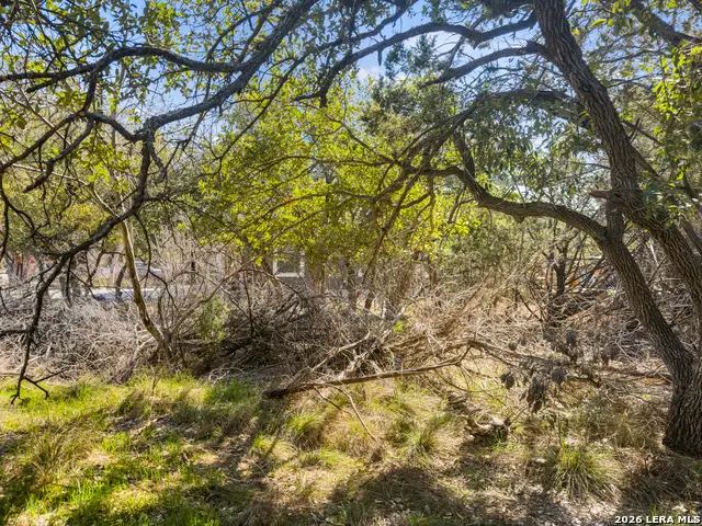 1738 Cave Drive, Spring Branch, TX 78070 - #2