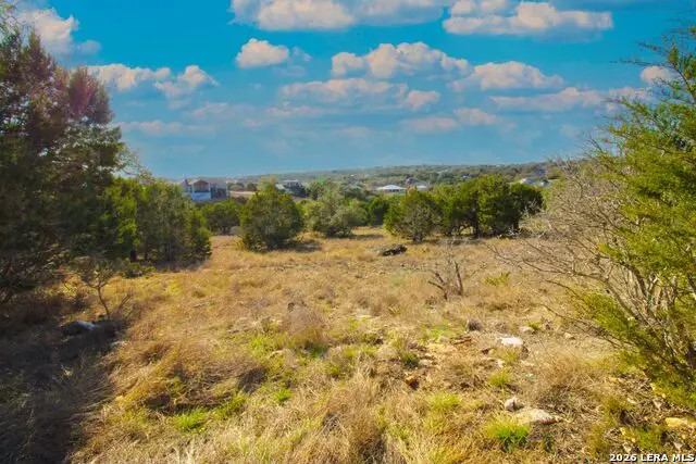 436 Cavy, New Braunfels, TX 78132 - #3