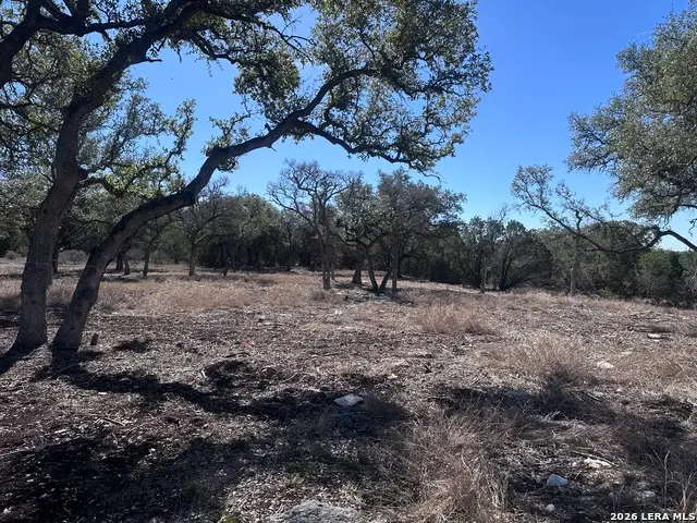 909 Dawns Vw, Spring Branch, TX 78070 - #1