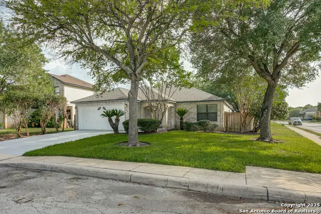 13502 Hickory Tavern, San Antonio, TX 78247 - #2