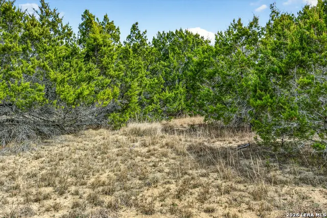 207 Lantana Hollow, Boerne, TX 78006 - #3