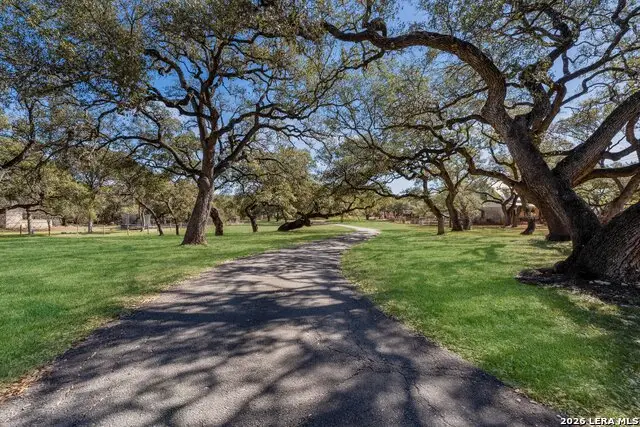 29080 Old Fredericksburg Road, Boerne, TX 78015 - #3