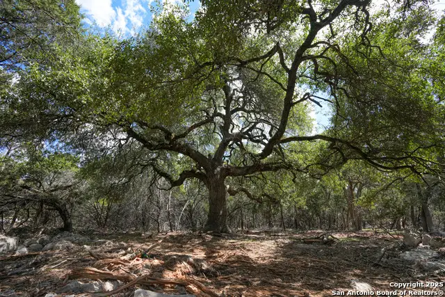 330 Rayner Ranch, Spring Branch, TX 78070 - #1